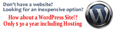 WordPress Website